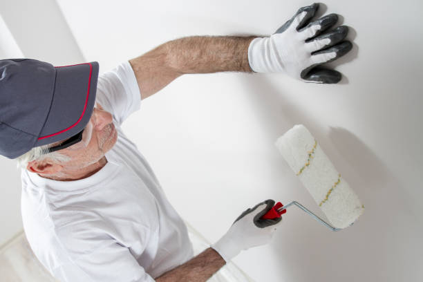Best Mold Odor Removal Services  in Brandon, SD