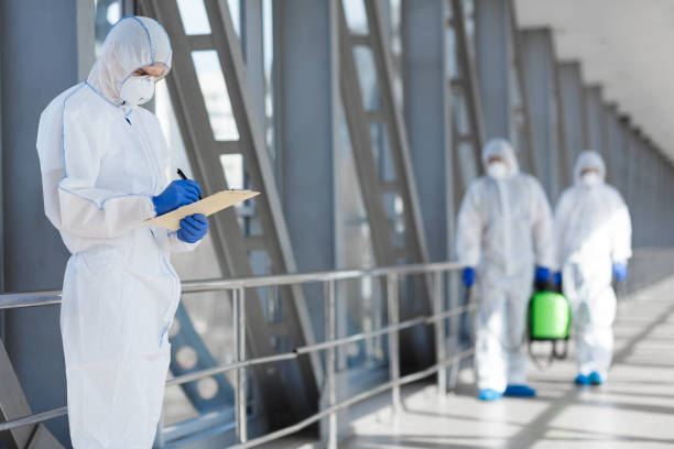 Trusted Brandon, SD Mold Removal Experts