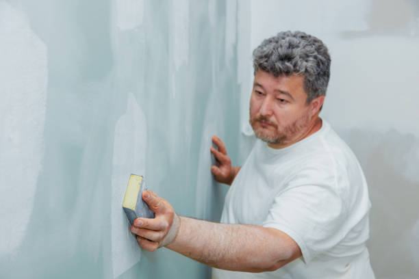 Best Dehumidification Services  in Brandon, SD