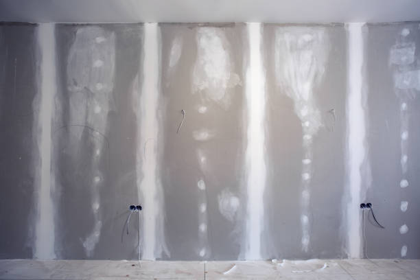  Brandon, SD Mold Removal Pros